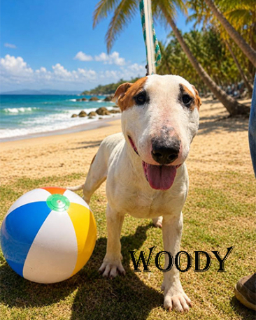 Woody